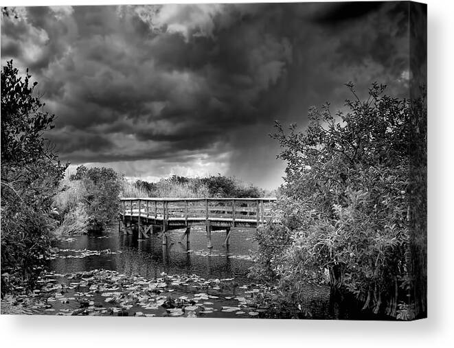 Boardwalk Canvas Print featuring the photograph Everglades 0823BW by Rudy Umans