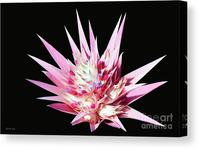 Digital Canvas Print featuring the digital art Expressive Bromeliad E3517 by Mas Art Studio