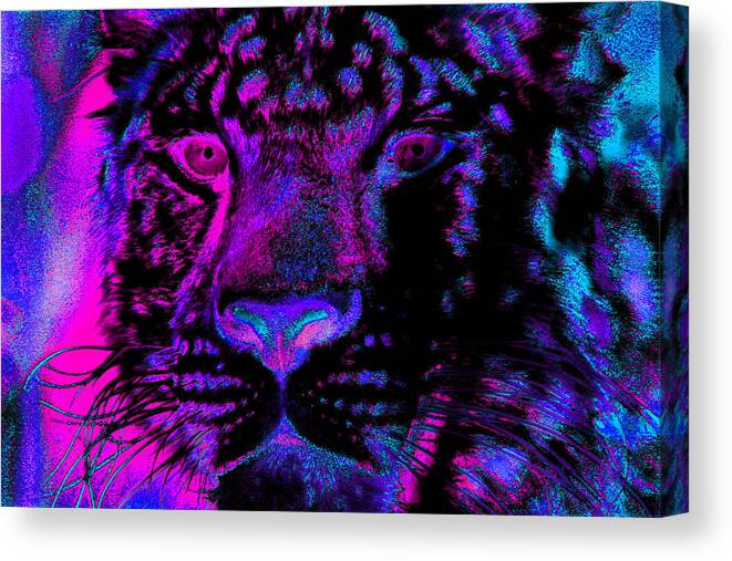 Jaguar Canvas Print featuring the photograph Eyes of the Jaguar by Nick Gustafson