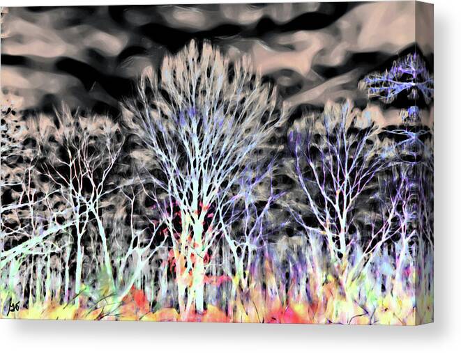 Forest Canvas Print featuring the photograph Fairy Forest by Gina O'Brien