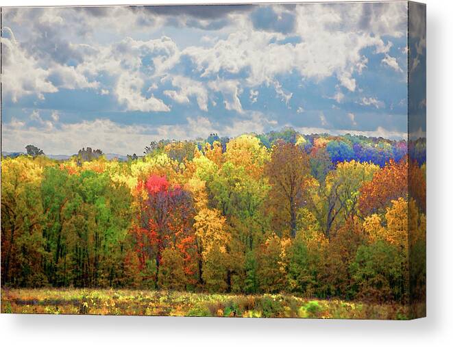 Health Care Canvas Print featuring the photograph Fall at Shaw by David Coblitz