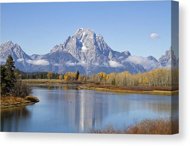 Tetons Canvas Print featuring the photograph Fall at Teton -1 by Shirley Mitchell