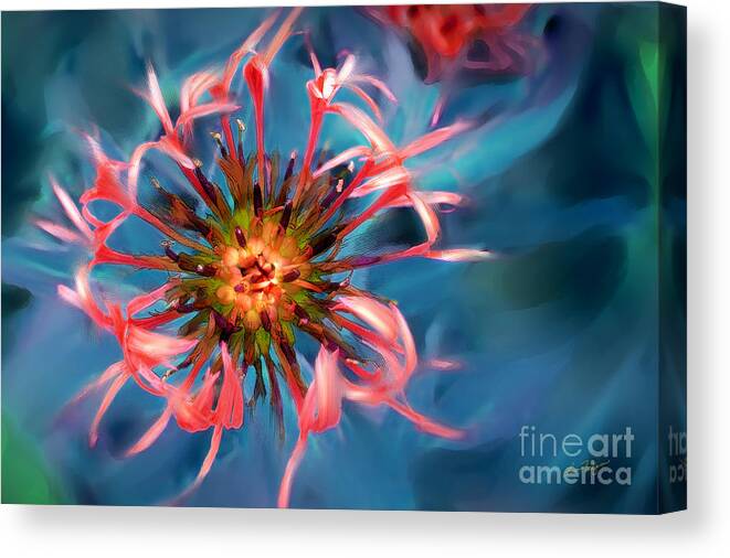 Floral Canvas Print featuring the photograph Fall Color Button by Lisa Redfern