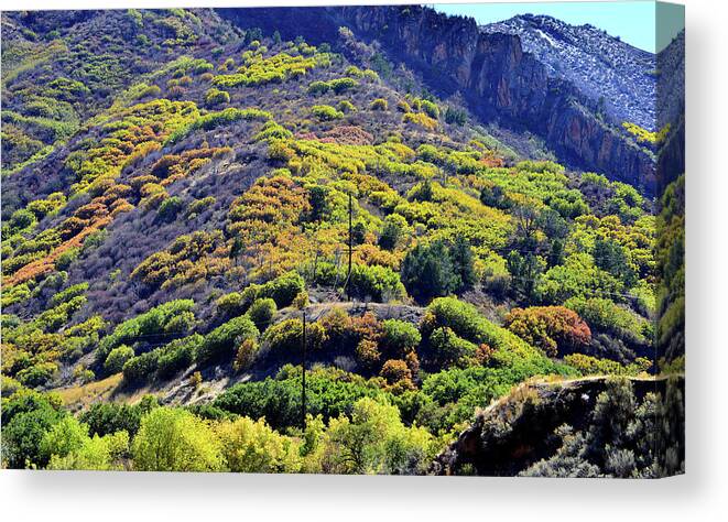 Colorado Canvas Print featuring the photograph Fall Colors in the Hills of Glenwood Springs by Ray Mathis