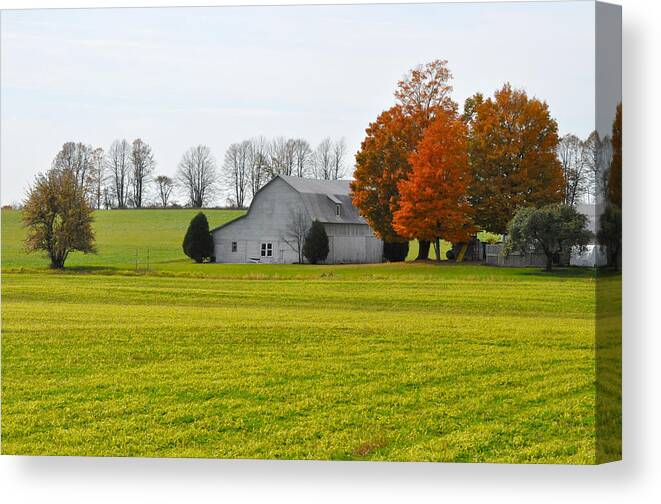 Fall Canvas Print featuring the photograph Fall Field by Tim Nyberg