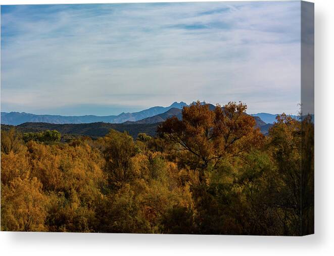 Fall Canvas Print featuring the photograph Fall in the Desert by Douglas Killourie