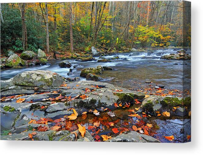 Flowing Stream Canvas Print featuring the photograph Fall Leaves along Big Creek by Alan Lenk