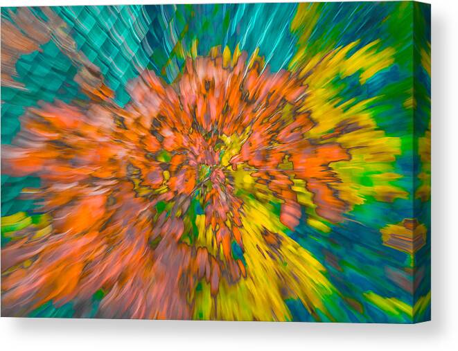 Fall Canvas Print featuring the photograph Fall Leaves Zoom Abstract by Bruce Pritchett