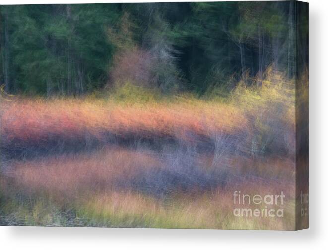 Landscape Canvas Print featuring the photograph Fall Marsh 5 by Jill Greenaway