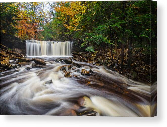 Autumn Canvas Print featuring the photograph Fall Mixer by Neil Shapiro