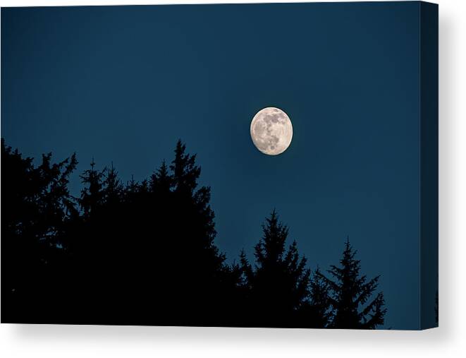 Landscape Canvas Print featuring the photograph Fall Moon Over The Tree Tops by Kristina Rinell