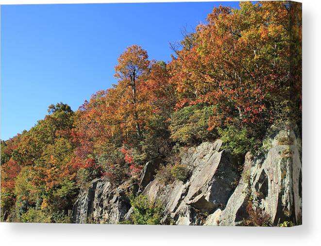Blue Ridge Parkway Canvas Print featuring the photograph Fall on The Blue Ridge Parkway by Karen Ruhl