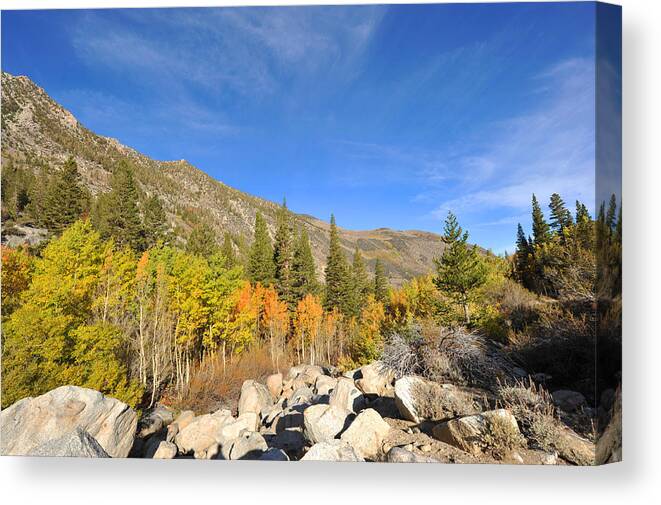 California Fall Canvas Print featuring the photograph Fall season in Bishop Creek by Dung Ma