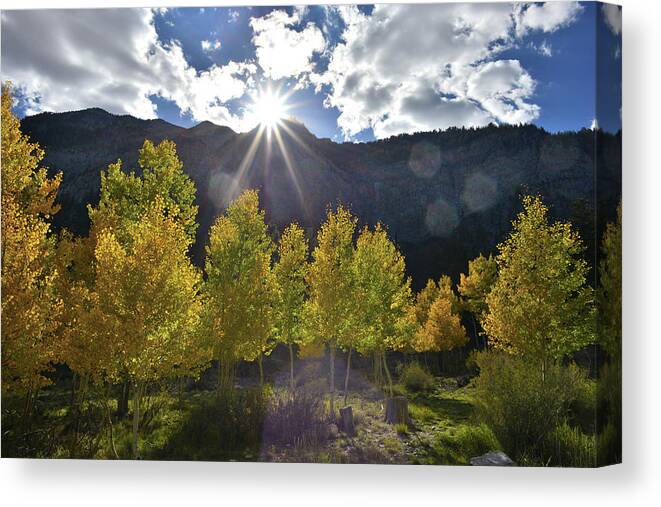 Humboldt-toiyabe National Forest Canvas Print featuring the photograph Fall Sun Setting Over Mt. Charleston by Ray Mathis