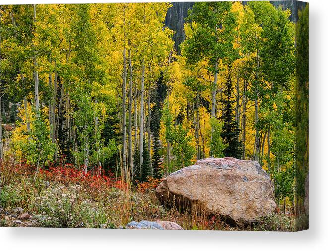 Fall Canvas Print featuring the photograph Fall Turning by Juli Ellen