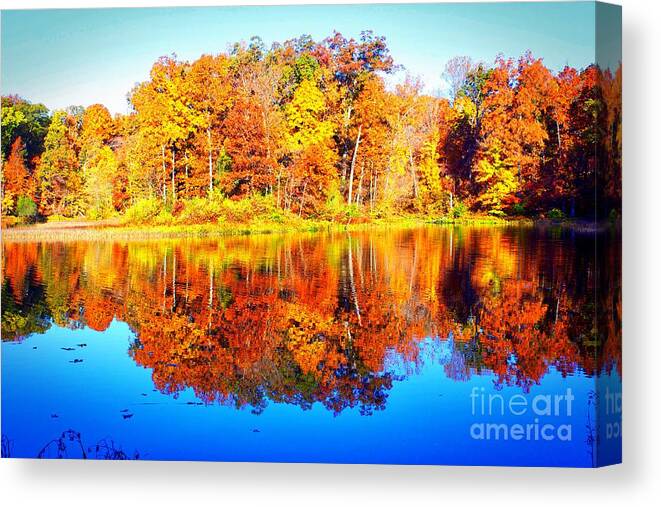 Color Canvas Print featuring the photograph Fall by Ty Shults