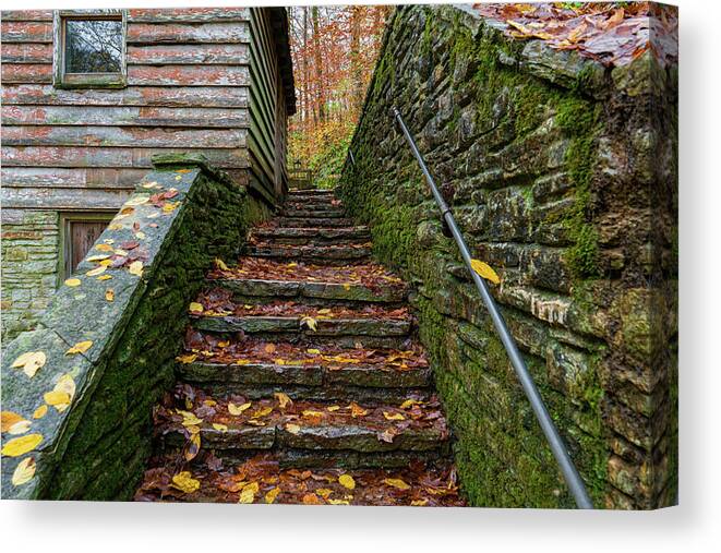 Sharon Popek Canvas Print featuring the photograph Fall Up Stairs by Sharon Popek