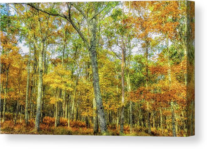 Landscape Canvas Print featuring the photograph Fall Yellow by Joe Shrader