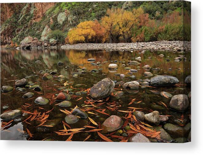 River Canvas Print featuring the photograph Fallen Leaves along the River by Sue Cullumber