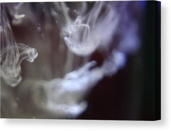 Water Canvas Print featuring the photograph Falling by Rachelle Johnston