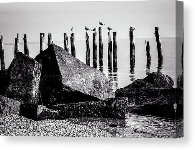 Black And White Canvas Print featuring the photograph Falmouth Highlands by Frank Winters