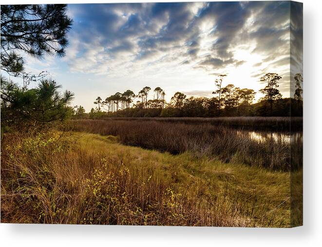 Gulf Of Mexico Canvas Print featuring the photograph Far Away by Raul Rodriguez