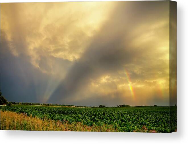 Agriculture Canvas Print featuring the photograph Farmers Weather Optics by James BO Insogna
