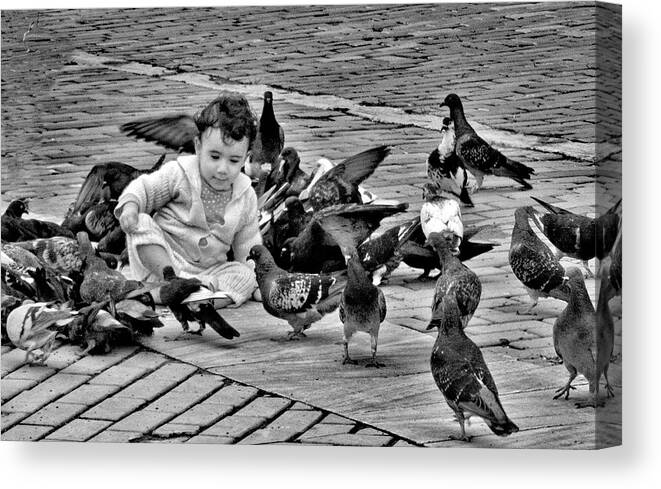 Pidgeons Canvas Print featuring the photograph Feathered Friends by Jessica Levant