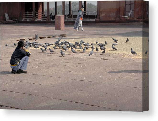 Pigeons Canvas Print featuring the photograph Feeding pigeons in Delhi mosque. by Elena Perelman
