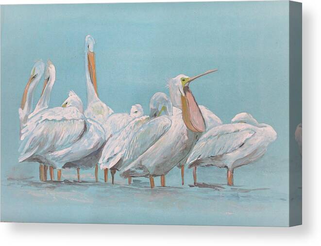 Bird Canvas Print featuring the painting Feeling sleepy by Khalid Saeed
