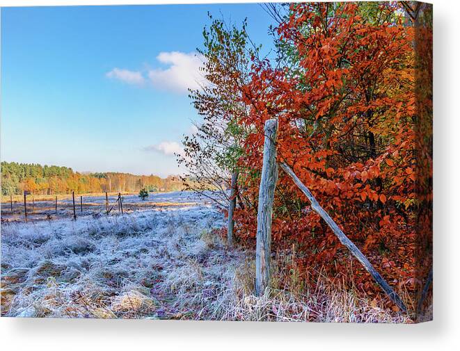 Yellow Canvas Print featuring the photograph Fenced autumn by Dmytro Korol