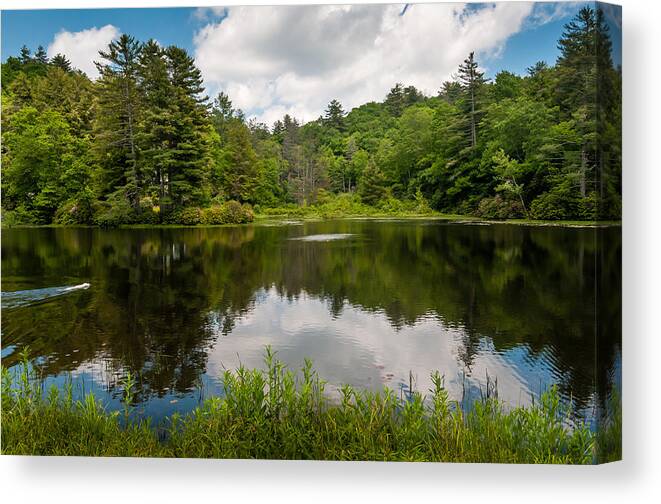 Lake Canvas Print featuring the photograph Fetch by James L Bartlett