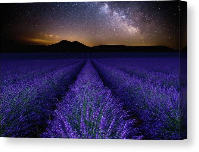 Night Stars Waterscape Lavender Mood Fields Provence Milkyway Clouds Nature Blue Sky Landscape Scenic Sea Nightscape Wonder Clouds Europe Canvas Print featuring the photograph Fields of Eden by Jorge Maia