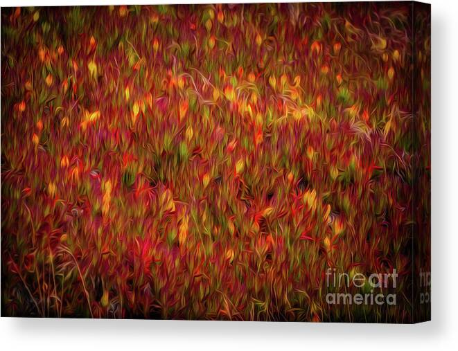 Sfo Canvas Print featuring the photograph Fields on FIre by Doug Sturgess