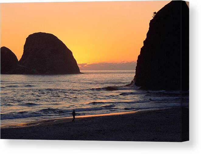Landscape Canvas Print featuring the photograph Figure on Seastack by Lynard Stroud