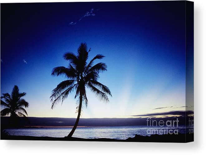 Beach Canvas Print featuring the photograph Fiji Sunset by Rita Ariyoshi - Printscapes