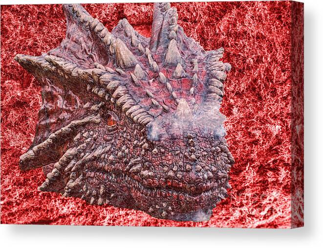 St Davids Day Dragon Canvas Print featuring the photograph Fire Dragon by Steve Purnell