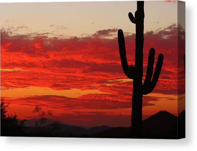 Sunset Canvas Print featuring the photograph Fire in the Sky by James BO Insogna