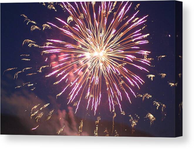 Fire Canvas Print featuring the digital art Fireworks In The Park 2 by Gary Baird