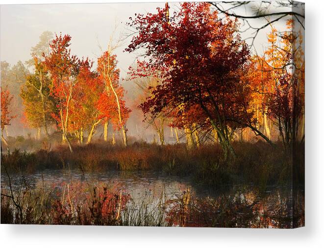 Landscape Canvas Print featuring the photograph First Light at The Pine Barrens by Louis Dallara