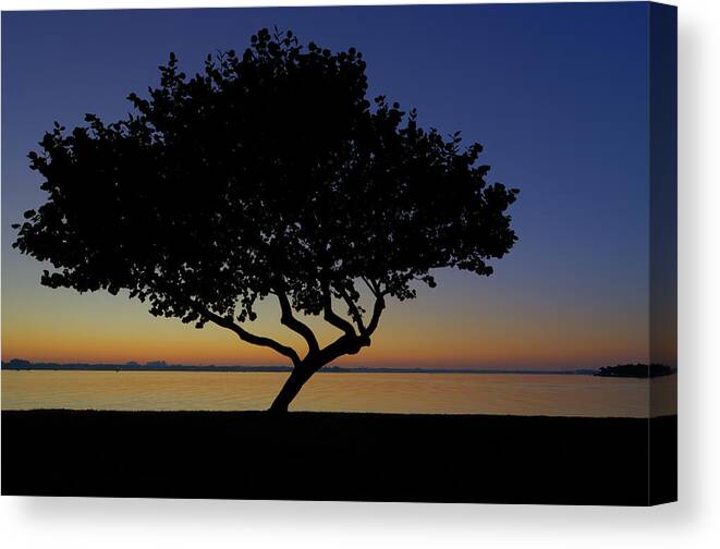 Tree Canvas Print featuring the photograph First Light On Bird Key by Paul Noble