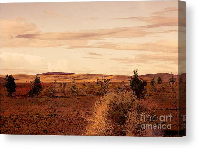 Morocco Canvas Print featuring the photograph Flat Land Scenic Morocco View from Train Window by Chuck Kuhn