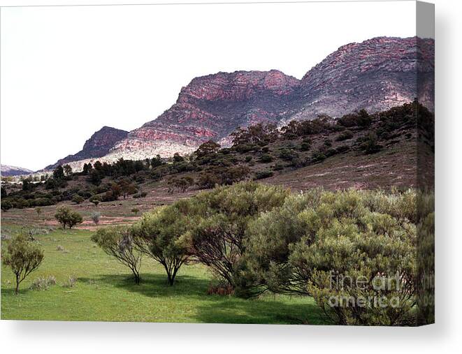 Australia Canvas Print featuring the photograph Flinders Ranges 02 by Rick Piper Photography