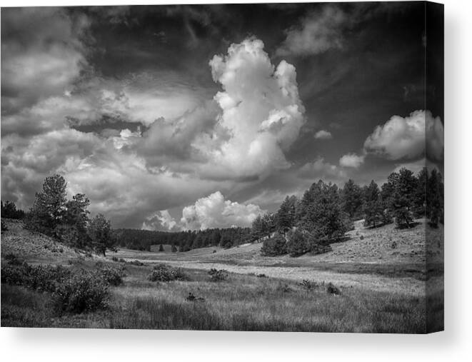 Florissant Canvas Print featuring the photograph Florissant Fossil Bed NP Colorado BnW IMG_8508 by Greg Kluempers