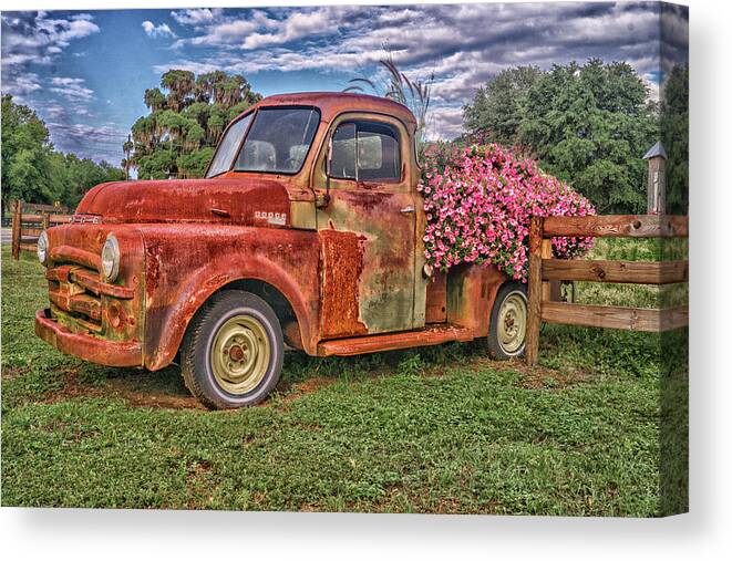 Dodge Canvas Print featuring the photograph Dodge Flower Bed by Dennis Dugan