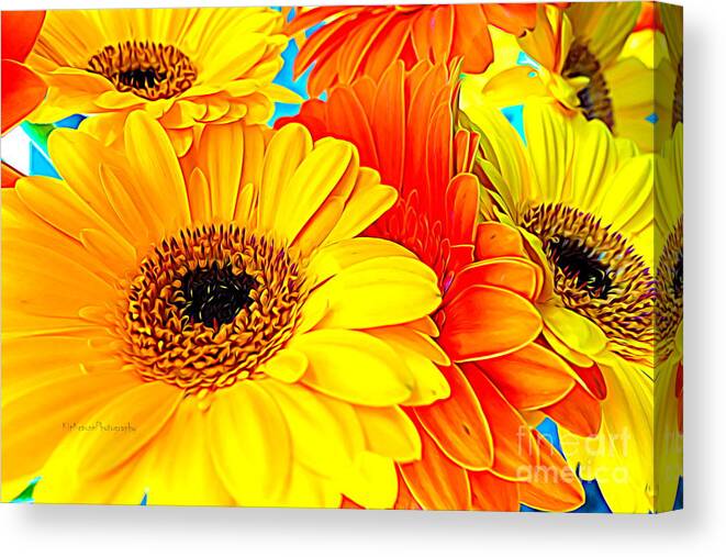 Colorful Flower Canvas Print featuring the photograph Flower - Life of a daisy by Kip Krause