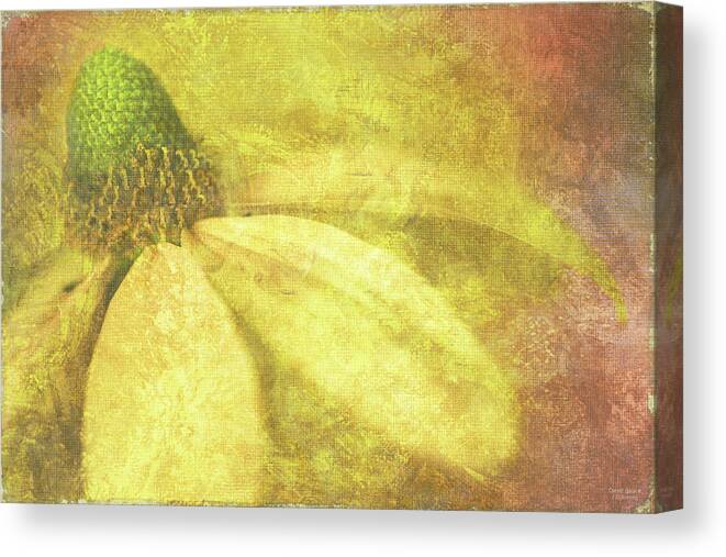 Flowers Canvas Print featuring the painting Flower Magnifico by JQ Licensing