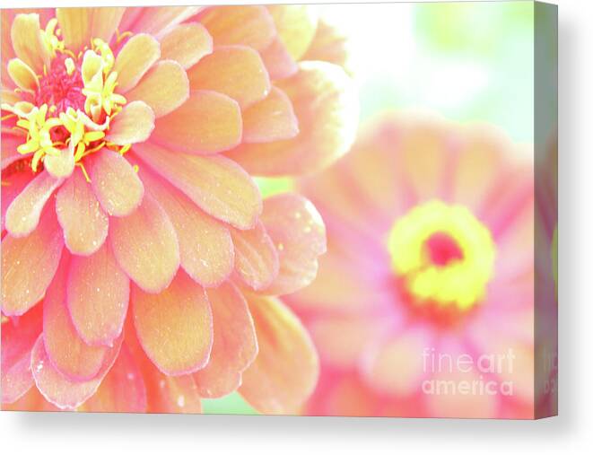 Flower Canvas Print featuring the photograph Flower Oasis by Becqi Sherman