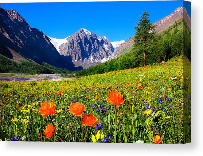 Russian Artists New Wave Canvas Print featuring the photograph Flowering Valley. Mountain Karatash by Victor Kovchin