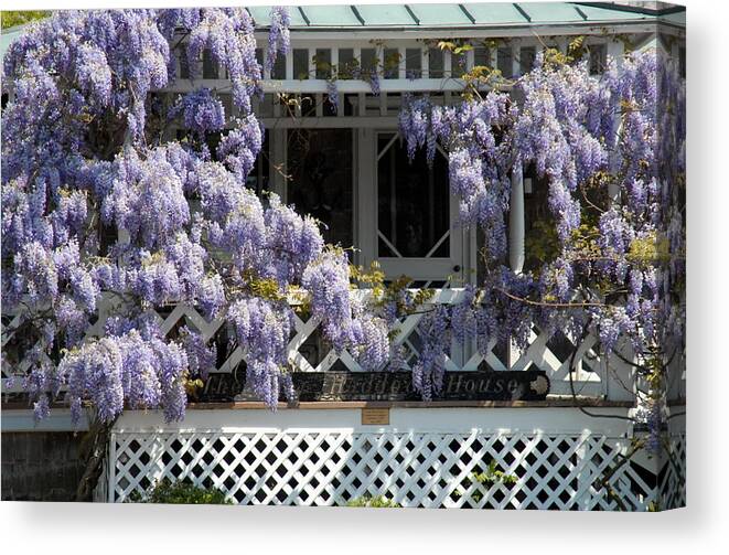 Flowers Canvas Print featuring the photograph Flowers 39 by Joyce StJames